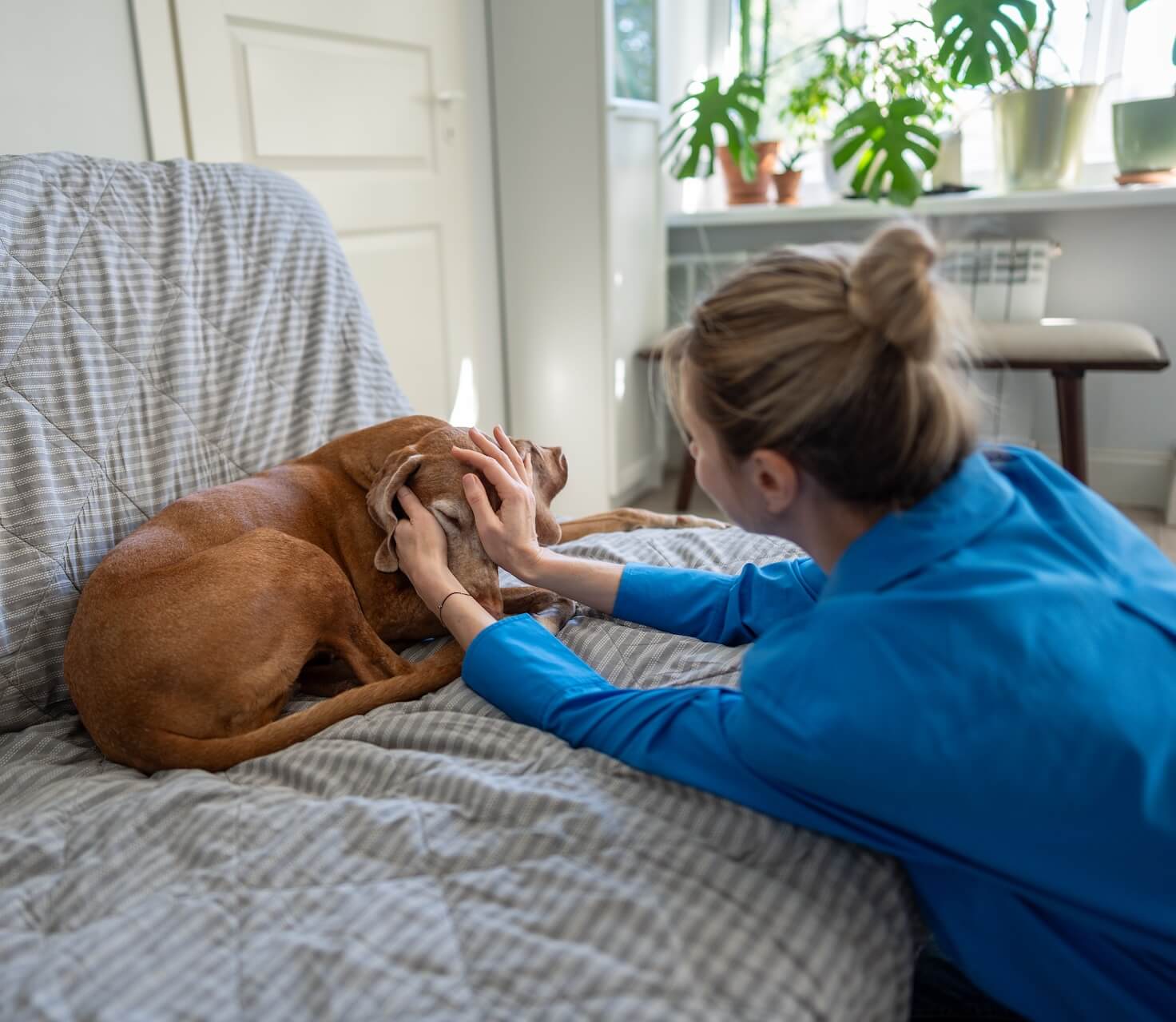 Pet Wellness Care in New York, NY 