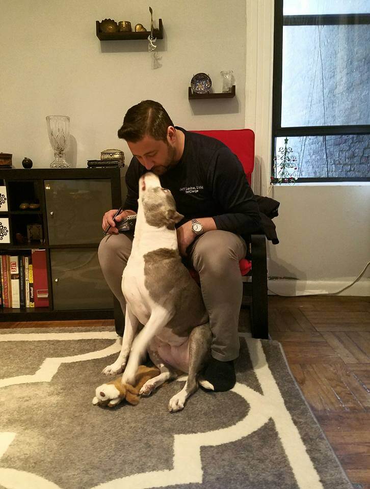 Pet House Calls near me in New York, NY 