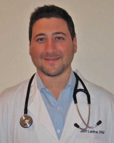 Dr. Jeffrey Lavine